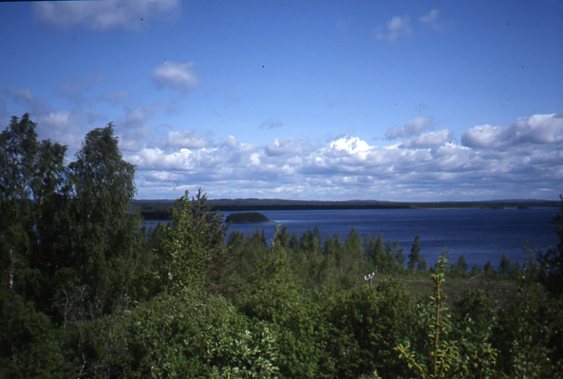 Kallion päältä kuvattu kesäinen järvimaisema Kontiolahdelta. Kuvassa näkyy vihreää puustoa ja keskellä on sininen järvi.