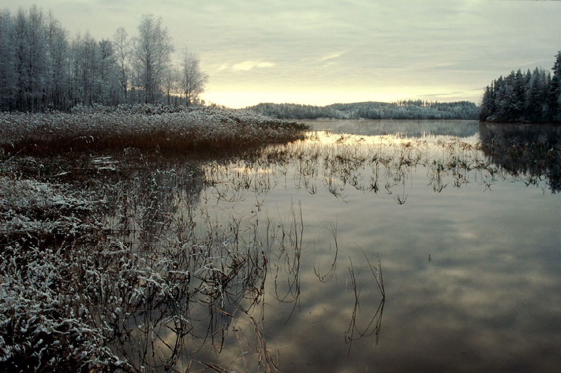 Ensilumi järvenrannalla. Puut ja kasvit rannalla ovat kuurassa. Kuvan on ottanut Jouni Erola vuonna 2007.